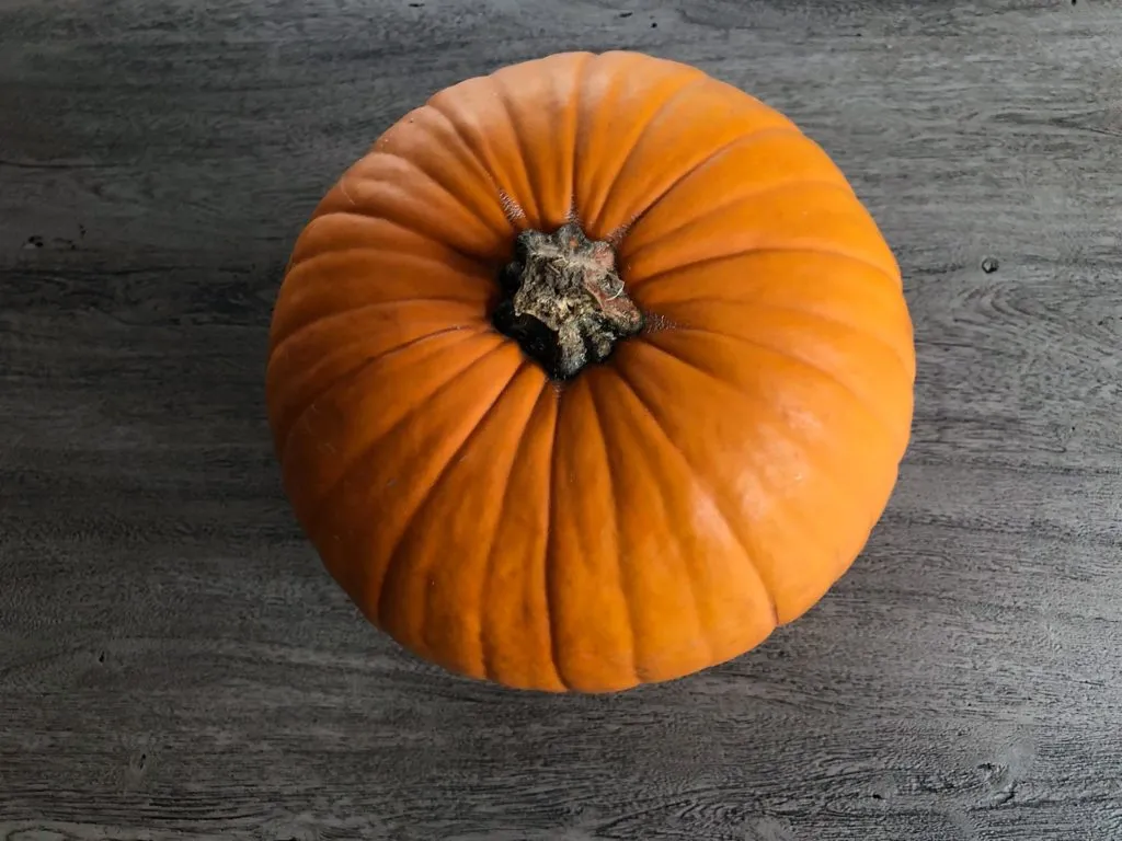 Halloween-Kürbis zum Schnitzen vorbereiten