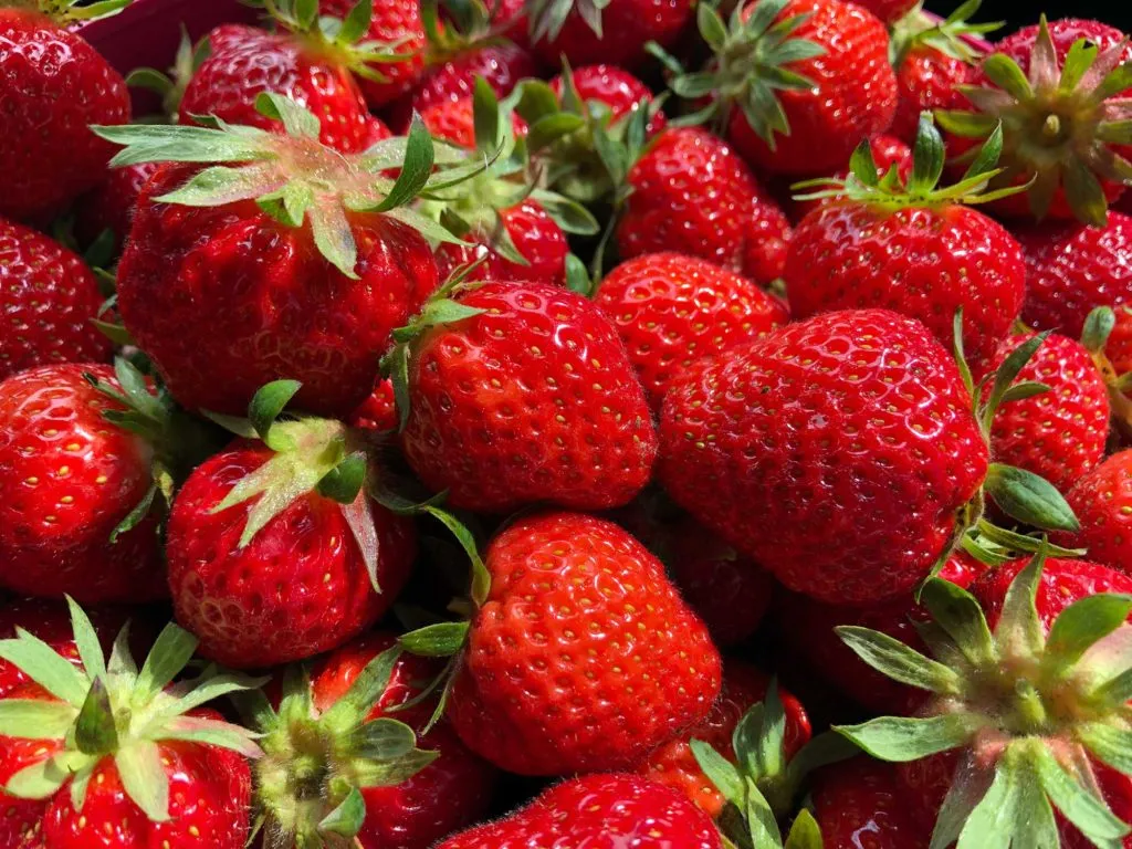 Selbst gepflückte Erdbeeren in Norderstedt und Quickborn