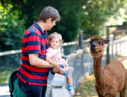Tierpark Neumünster – Regionale Tiere hautnah erleben + toller Spielplatz