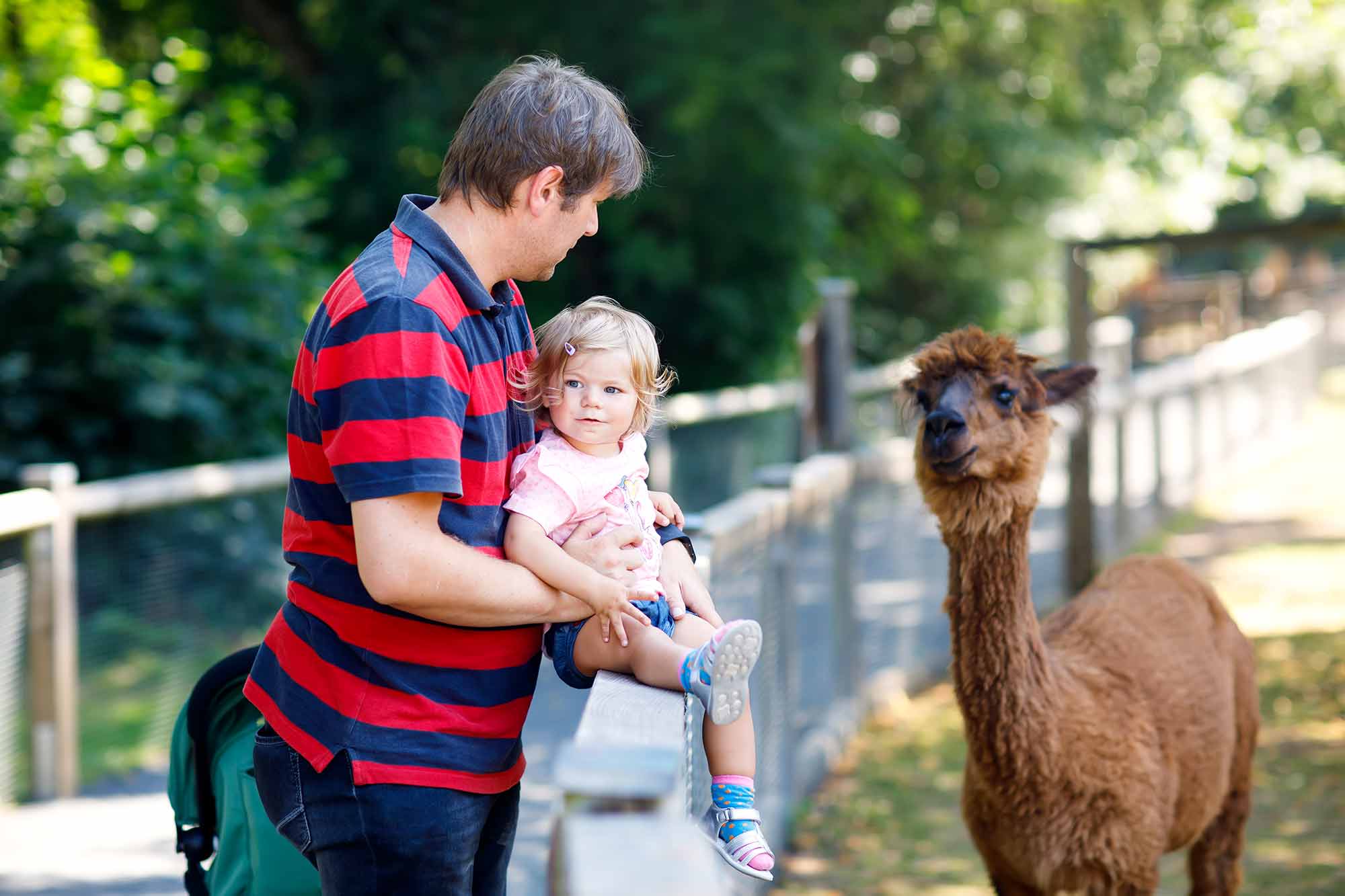 Tierpark Neumünster mit Kindern - Immer ein Besuch wert